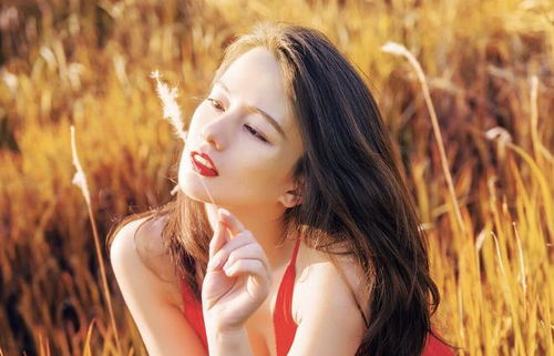 秦时明月3d电影龙腾万里 秦时明月3d电影龙腾万里