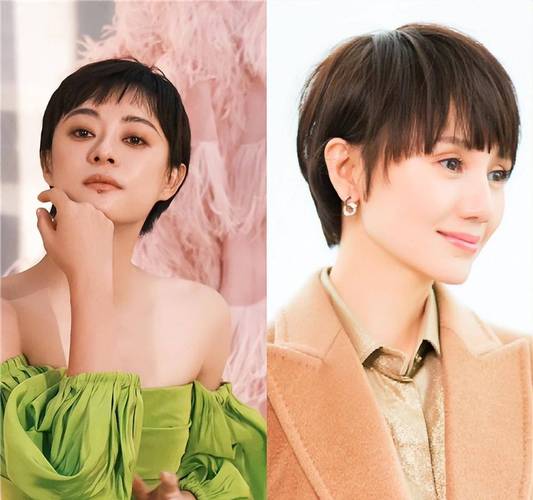 董子健现任老婆叫什么 董子健现任老婆叫什么