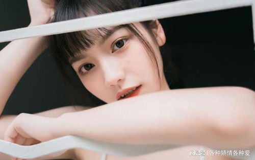个人简历模板可编辑免费 个人简历模板可编辑免费