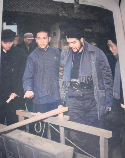 曲高和寡什么意思 曲高和寡什么意思