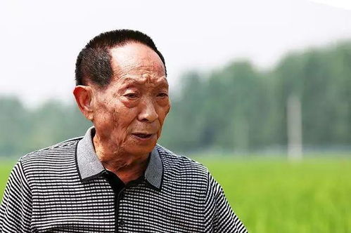 爸爸我们去哪儿中国 爸爸我们去哪儿中国