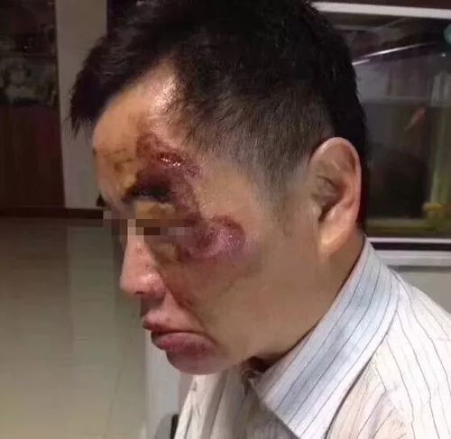 叶子楣主演的电影电影 叶子楣主演的电影电影