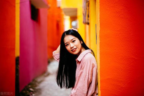 小米蛋黄五彩颗粒面(五彩颗粒面) 小米蛋黄五彩颗粒面(五彩颗粒面)